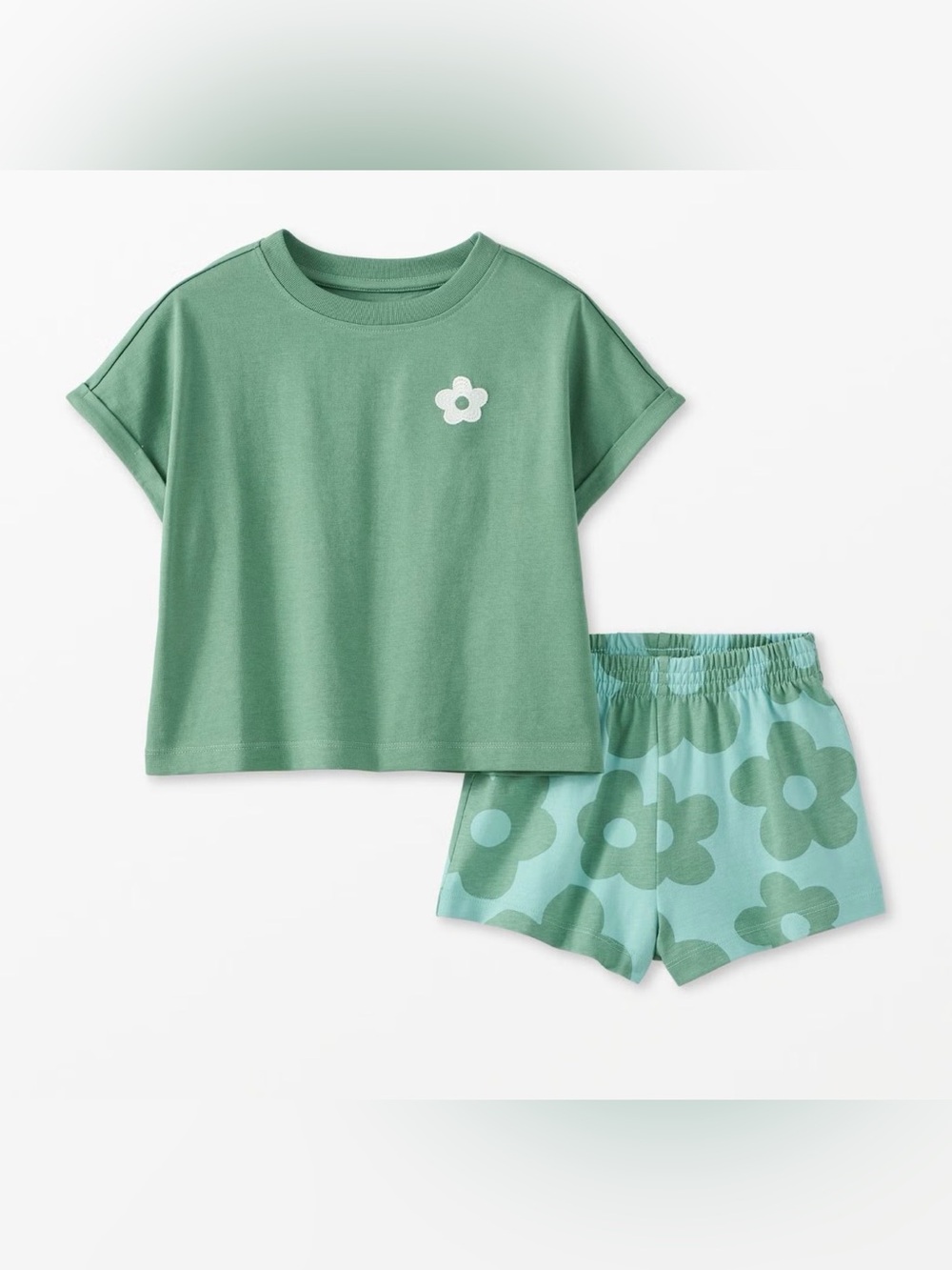 Hanna Andersson Green Floral Girls Shirt and ShortsPlay set 4T